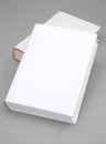 Two Blank book cover