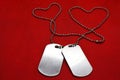 Two blank dog tags on red background