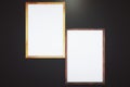 Two blank frames on black background Royalty Free Stock Photo