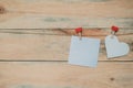 Two blank notes of different shapes hanging on a rope Royalty Free Stock Photo