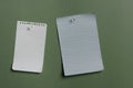 Two blank notes pined Royalty Free Stock Photo