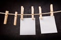 Two Blank paper notes hanging on rope with clothes pins Royalty Free Stock Photo