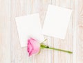 Two blank photo frames and pink rose Royalty Free Stock Photo