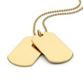 Two Blank Gold Dog Tags on a Chain Isolated on a White Background military identification Royalty Free Stock Photo