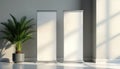 Two blank roll-up banners stand vertically in light interior. Sunlight streams in, casting shadows. Plant in grey pot sits in Royalty Free Stock Photo