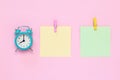 Two blank stickers on notice board, planning concept, deadline. Place for text, copy space. Colorful note paper with clothespins Royalty Free Stock Photo