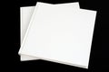 Two blank white books isolated