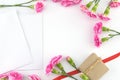 Two blank white cards decorated with pink carnation Royalty Free Stock Photo