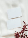 Two blank white cards and dry pink flowers on clean white textile background top view Royalty Free Stock Photo