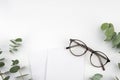 Two blank white cards and glasses decorated with eucalyptus leaves Royalty Free Stock Photo