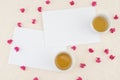 Two blank white cards Royalty Free Stock Photo