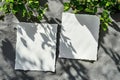 Two Blank White Papers and Leaf Shadows on Gray Background Product Presentation Royalty Free Stock Photo