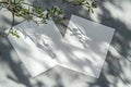 Two Blank White Papers and Leaf Shadows on Gray Background Product Presentation Royalty Free Stock Photo