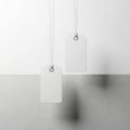 Two blank white rectangular tags hanging by thin cords Royalty Free Stock Photo
