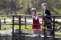 Two blond pretty children, small long-haired girl and cute boy leaning on wooden railings of old bridge looking intently down on w Royalty Free Stock Photo