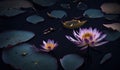 Two blooming purple lotus or waterlily on dark water surface at lotus pond. Space for text Royalty Free Stock Photo