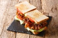 Two blt sandwiches with bacon, fresh salad and tomatoes are served on a slate board. horizontal Royalty Free Stock Photo