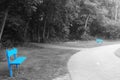 Two blue benches in park nature black and white Royalty Free Stock Photo