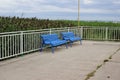 two blue benches stand on a pier near the sea with reeds Royalty Free Stock Photo