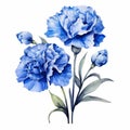 Blue Carnation Flowers Watercolor Clipart - Tattoo Inspired Illustration