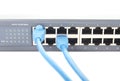 Two Blue Cat-5 Cables Plugged into Network Switch Royalty Free Stock Photo