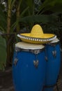 Two blue congas drum and yellow sombrero on a background of palm trees Royalty Free Stock Photo