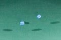 Two blue dices falling on a green table Royalty Free Stock Photo