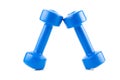 Two blue dumbbell