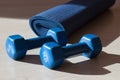 Two blue dumbbells and a yoga mat with shadows in the gym. Sport and fitness concept