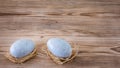 Two blue eggs with nest Royalty Free Stock Photo