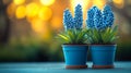 Two blue flower pots with blue flowers in them Royalty Free Stock Photo