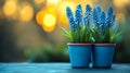 Two blue flower pots with blue flowers in them Royalty Free Stock Photo