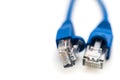 Blue Network Utp Cable, Studio shot on White Background Royalty Free Stock Photo