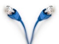 Two Blue Network Utp Cable, Studio shot, on White Background Royalty Free Stock Photo