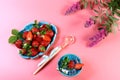 Two blue plates of fresh strawberries, ice, mint, pink flowers, decorative spoon isolated on pink background with copy space. View Royalty Free Stock Photo