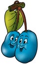 Two Blue Plums Royalty Free Stock Photo