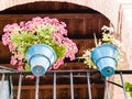 two blue pots holding flower plants and flowers on an old balcony Royalty Free Stock Photo