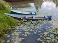 Two blue rowing boats moored in a lake with water lilies Royalty Free Stock Photo