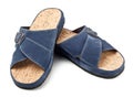 Two blue slippers Royalty Free Stock Photo