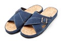 Two blue slippers Royalty Free Stock Photo