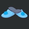 Two blue slippers Royalty Free Stock Photo