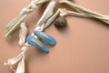 Two blue snap hair clips with embroidered pieces of wheat on solid beige background with dry leaves of corn and a snail shell. Royalty Free Stock Photo