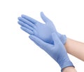 Two blue surgical medical gloves isolated on white background with hands. Rubber glove manufacturing, human hand is wearing Royalty Free Stock Photo