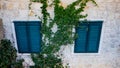 Two windows in old wall with closed blue shutters and green ivy Royalty Free Stock Photo