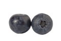 Two blueberries Royalty Free Stock Photo