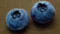 two blueberries with water drops close-up on a wooden Royalty Free Stock Photo