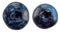 Two blueberries on a white background Royalty Free Stock Photo