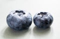 Two blueberry berries Royalty Free Stock Photo