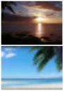 Two Blurred Tropical Backgrounds Royalty Free Stock Photo