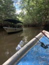 Boats meeting in the jungle Royalty Free Stock Photo